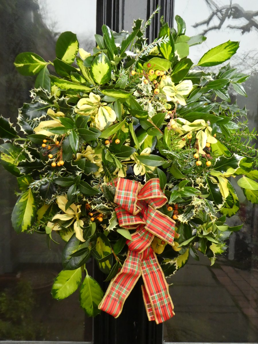SLGardens's tweet photo. Wishing all our visitors and helpers a very Happy Christmas and may 2025 be wonderful for us all
I am now taking a few days off to host a large family gathering here
#Gardenshour #Christmaswreath #gardenjoy #opengarden #gardenfoliage https://t.co/dDA583kRHS