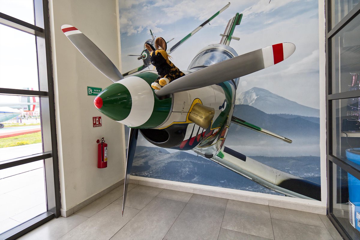 SneppyFluffball's tweet photo. Look at da widdle guy in da airpwane! He's goin' on an adventure! Wooosh! He's so brave!
#aviation #planelover #propellerplane #aviationmuseum #stuffedanimaladventures #babyfur #photography #agere #littlespace #sfwageregression #sneppyfluffballphotos https://t.co/NFlmlWzhB9