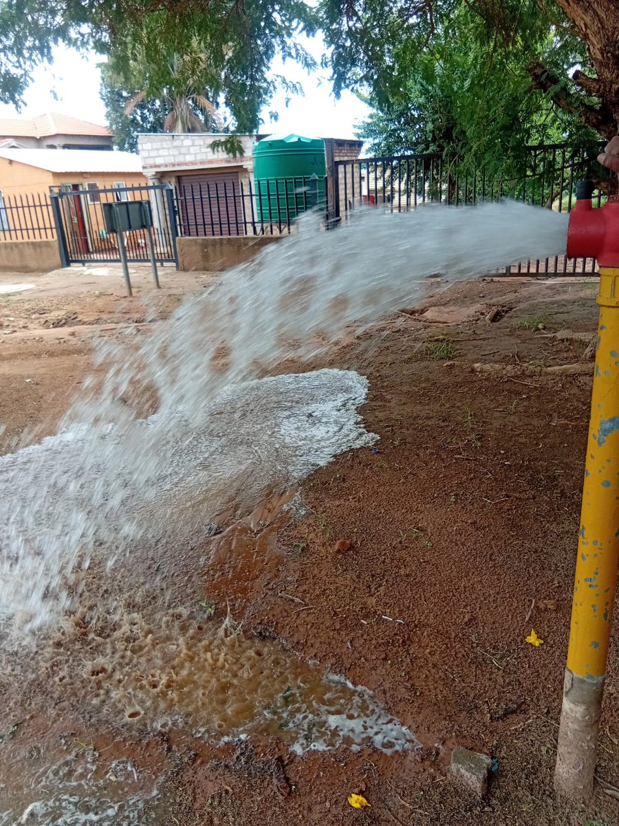 Dr Nasiphi Moya tweet media