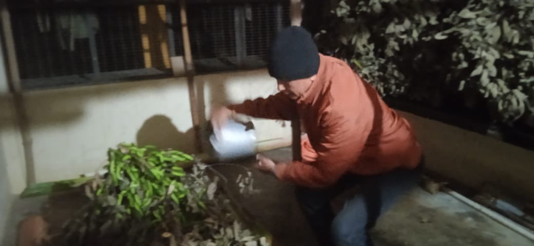 MssoSilk's tweet photo. Golden harvest continue in CSB MESSO P3 Adokgiri, Meghalaya. We are overwhelmed to share the collective team effort which has ensured success; approx. 15,000 muga silkworms spinning golden threads hereby ensuring good quality seed production for Jarua crop. @csbmot @TexMinIndia https://t.co/dXXP2GGDWK
