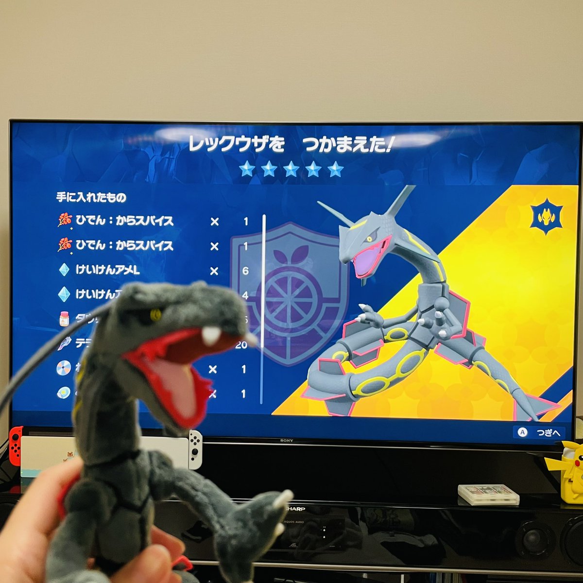 黒いレックウザ - Search / X