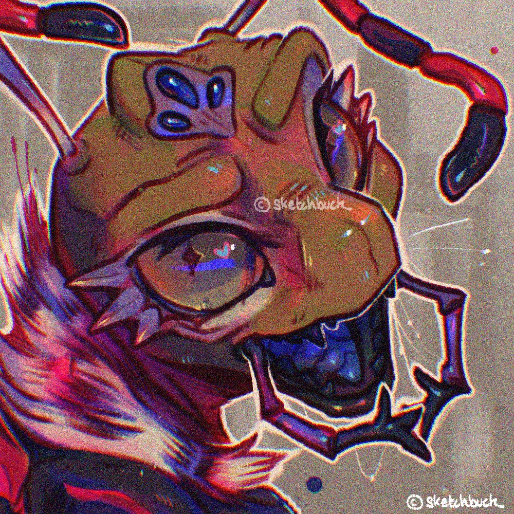 Sketchbuck tweet media