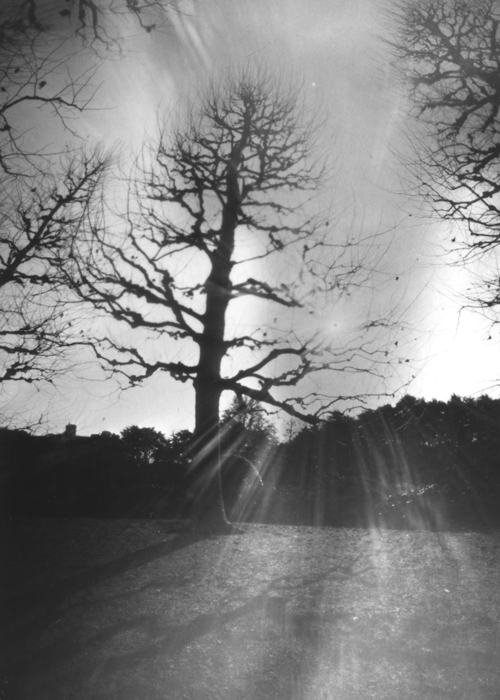 sikiko's tweet photo. 過去作品から毎日1枚、#針穴写真 をあげちょる。1322日目。
#pinhole 
#ピンホール 
#pinholephotography 
#ピンホール写真 
#lensless 
#analogphotography 
#photographicpaper 
#印画紙ネガ 
#tincancamera 
#空き缶カメラ 
#monochrome 
#bnwphotography 
#1日1枚針穴写真 https://t.co/tnUi06gDfC