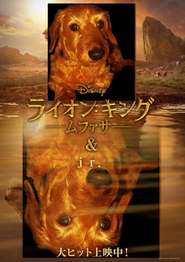 dizzymoon's tweet image. 何度試しても上手く行かず、悔しくて自作してみました🤣
ちなみにJｒ.という名の由来は、この子からいただきました🐕
#ムファ写キャンペーン