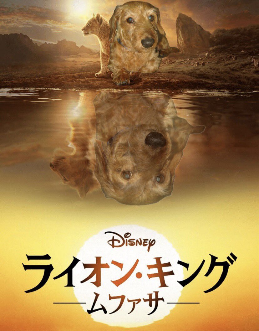 dizzymoon's tweet image. 何度試しても上手く行かず、悔しくて自作してみました🤣
ちなみにJｒ.という名の由来は、この子からいただきました🐕
#ムファ写キャンペーン