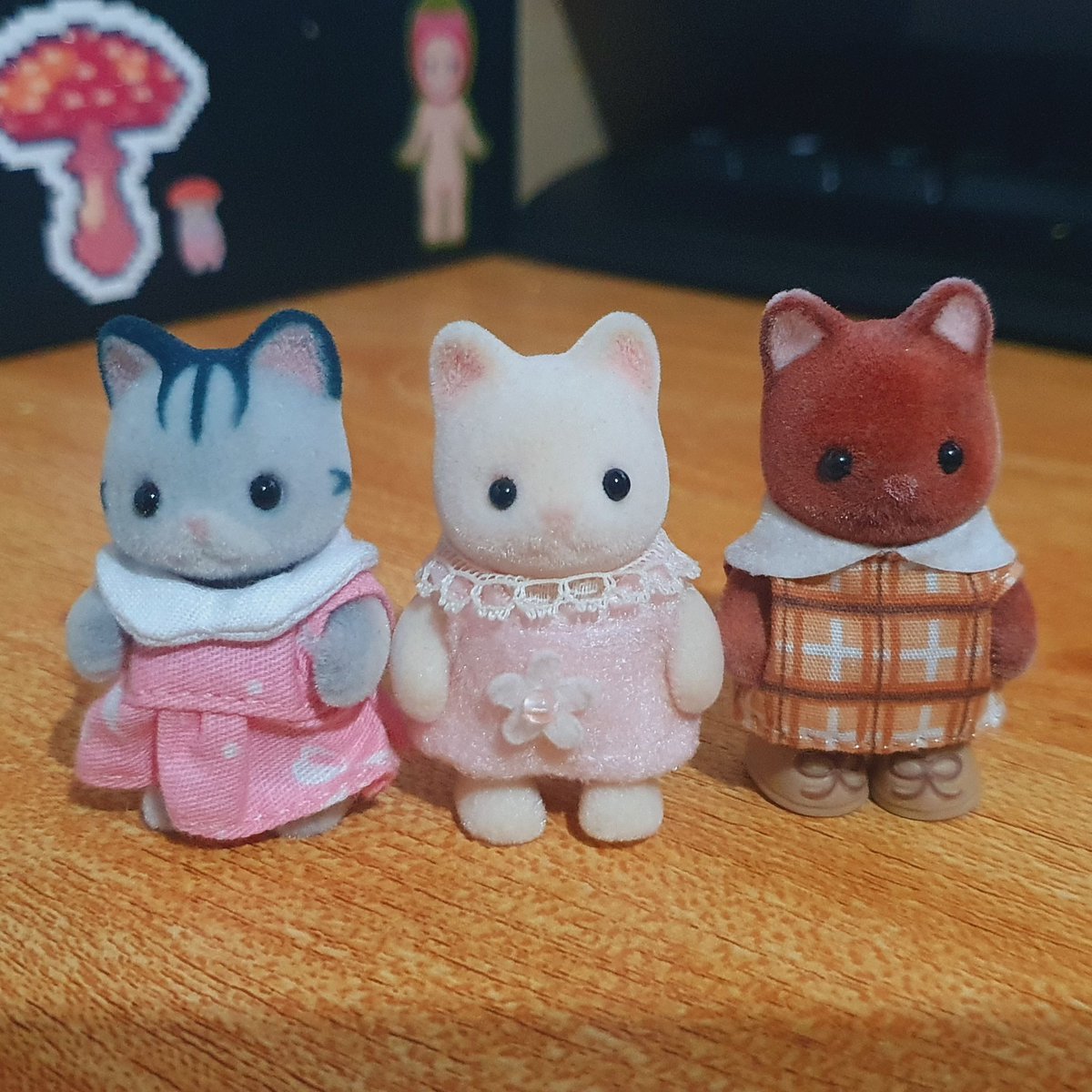 strawbcatto tweet picture
