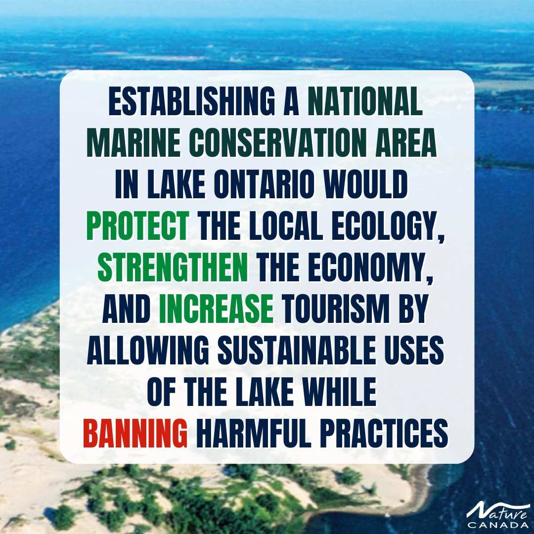 NatureCanada's tweet photo. New Poll about one of the Great Lakes! Canadians agree, we need to protect nature!

Add your name: https://t.co/idvwp0q32l

Show your support for establishing this much-needed NMCA and protect Lake Ontario’s biodiversity for generations to come. 

#NMCA #LakeOntario #GreatLakes #NatureCanada