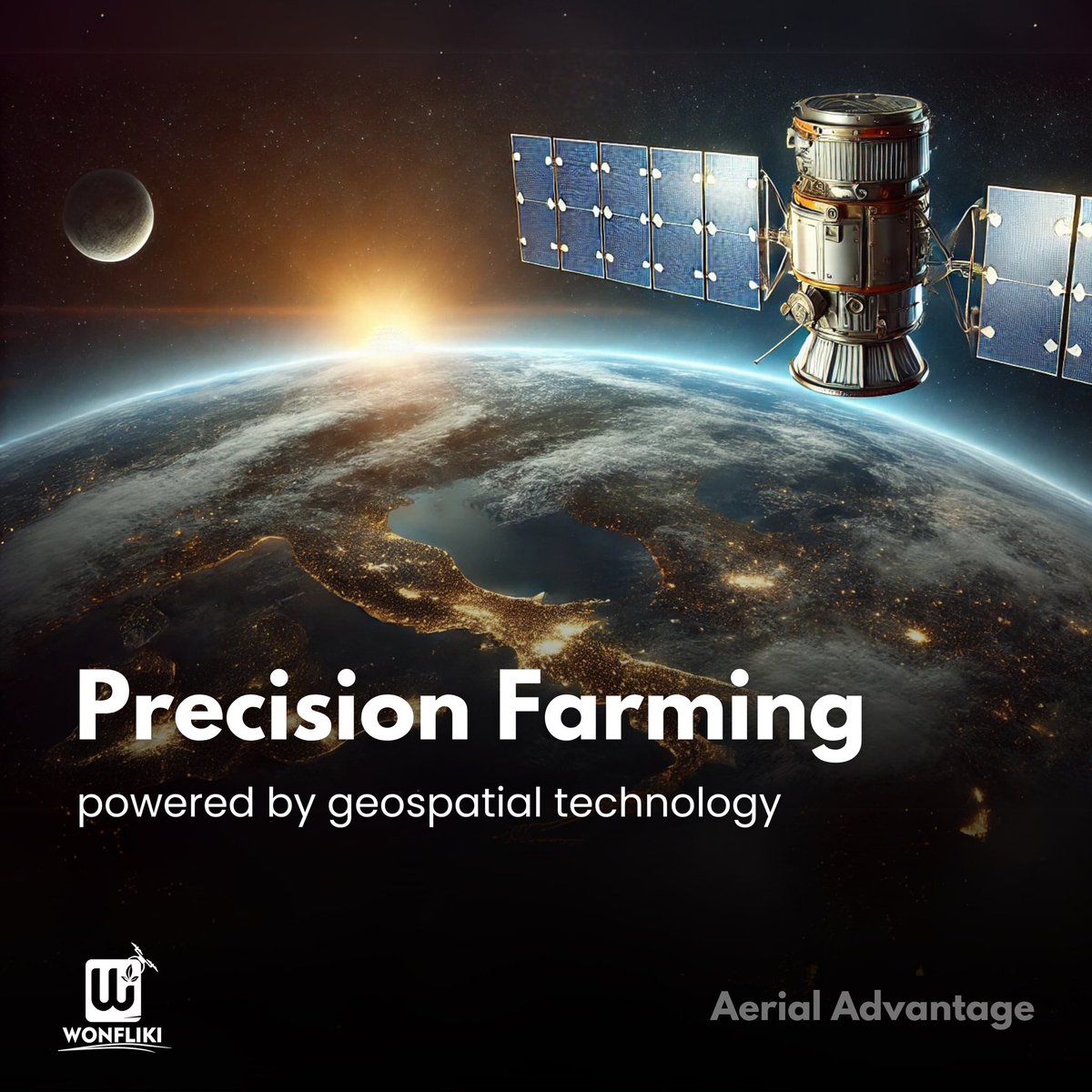 Wonfliki tweet media