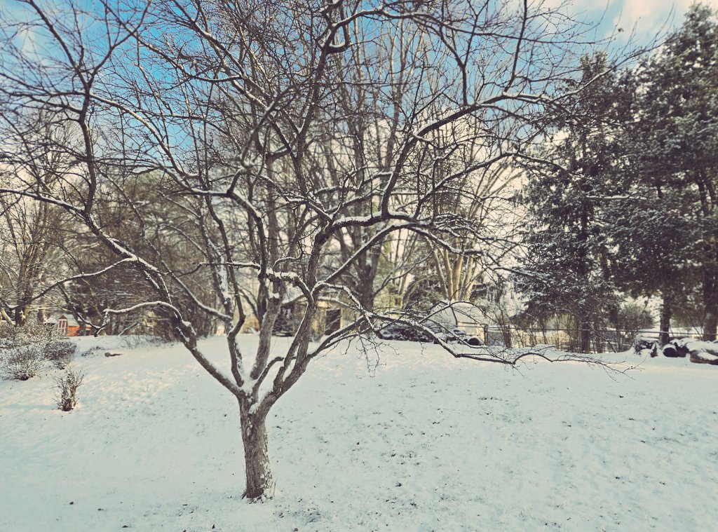 Rachel Clark tweet media