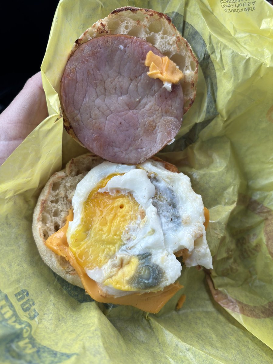daniellelahm's tweet photo. @McDonalds are you trying to kill me? This is disgusting. https://t.co/aQ2dgrQ6T0