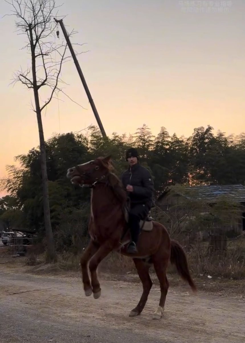 쿱정원 tweet media