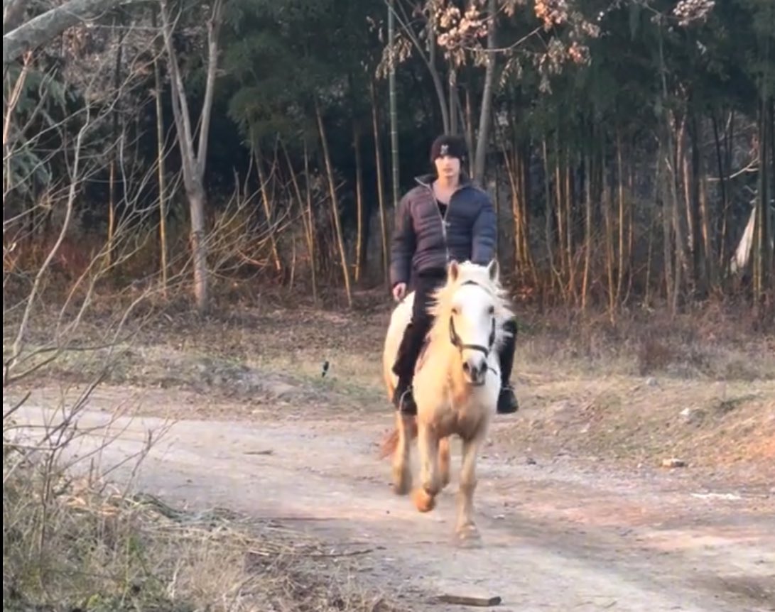 쿱정원 tweet media