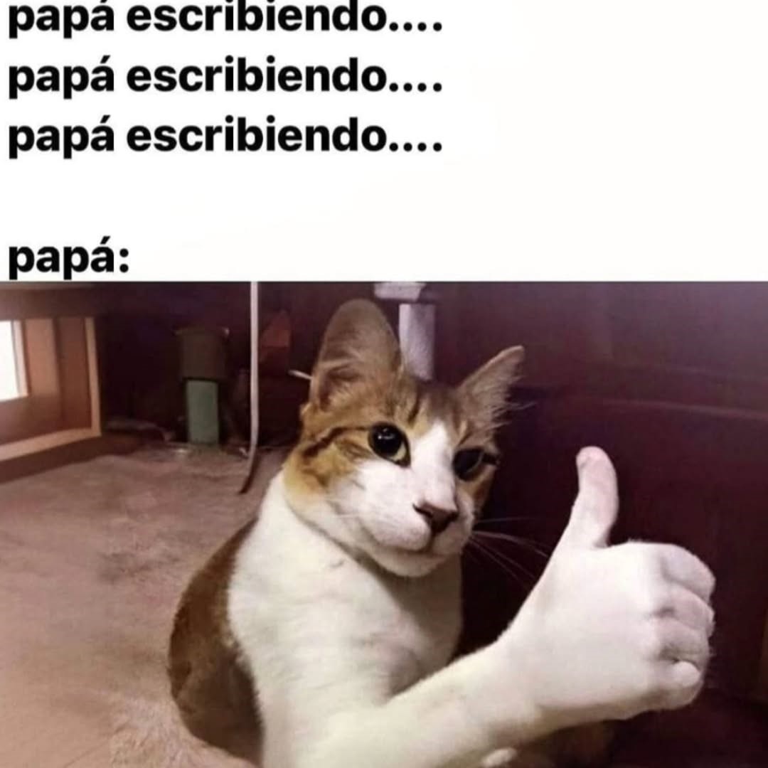 BFrog (@bfrog__) on Twitter photo 