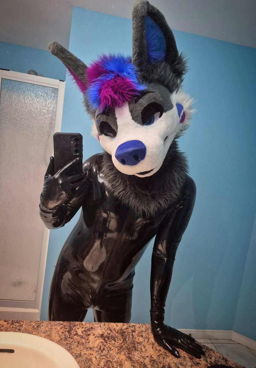 NabiWolfy's tweet photo. Mirror, Mirror on the wall... Who is the 
shiniest of them all ? ~ ✨️😘

#ShinySaturday 
#SqueakySaturday https://t.co/SCjkcUmUdE