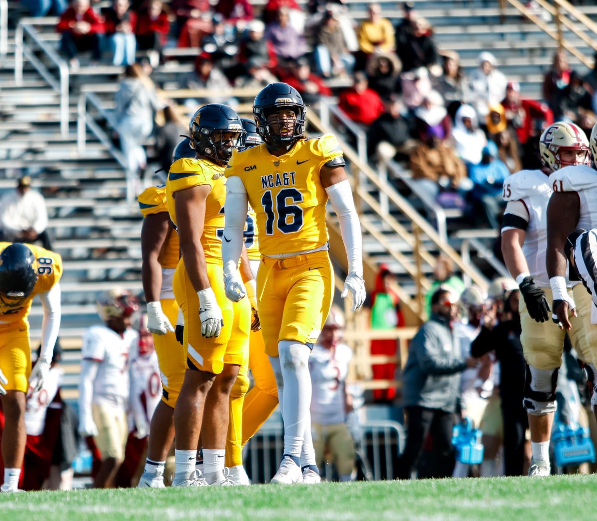 Terien George tweet media