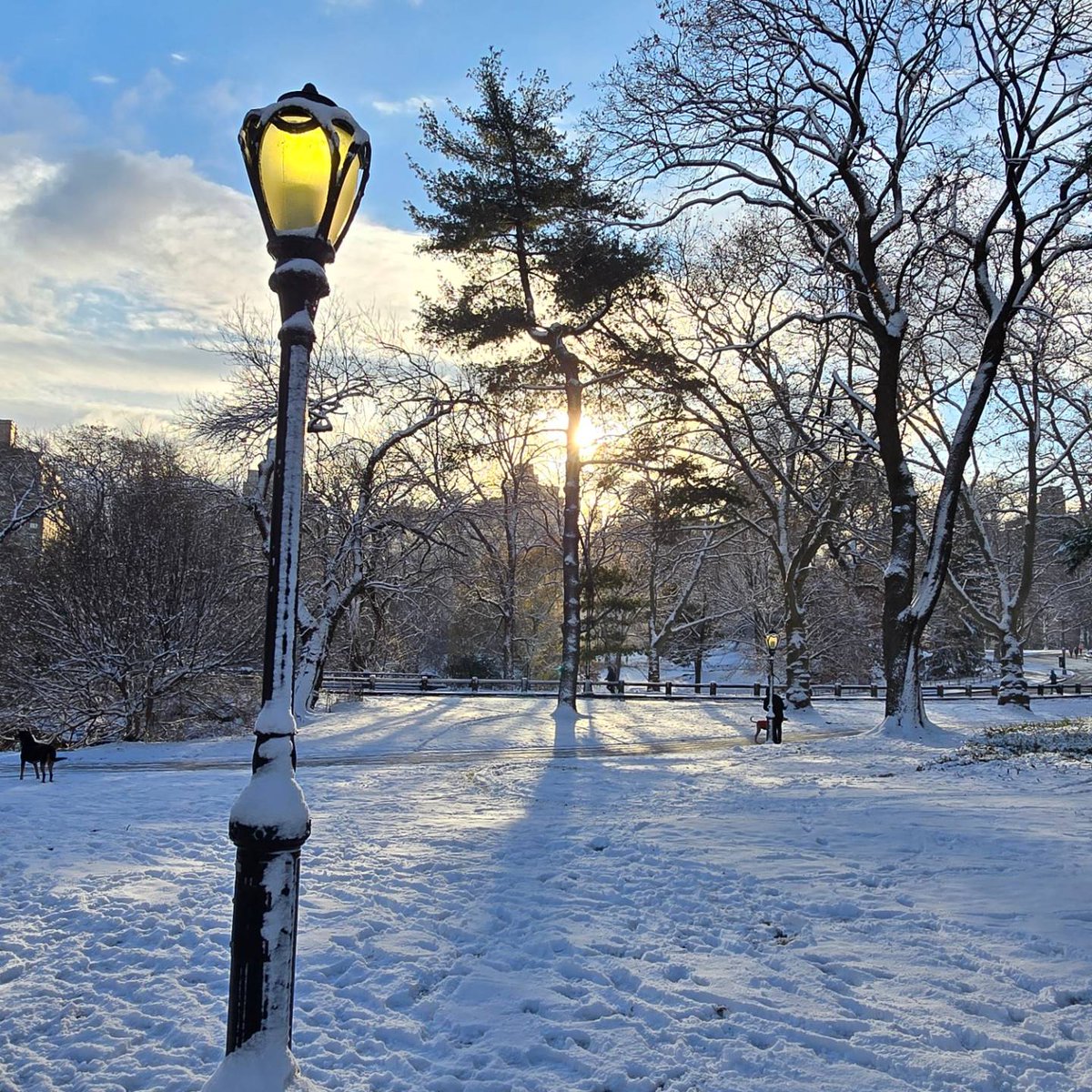 celtus's tweet image. In my happy place, feeding my furry and feathered friends. So excited to have snow. Jet lagged and hiking around the park.  #CentralPark #NewYorkNewYork #NYC #Manhattan #ChristmasInNewYork #NewYorkCity