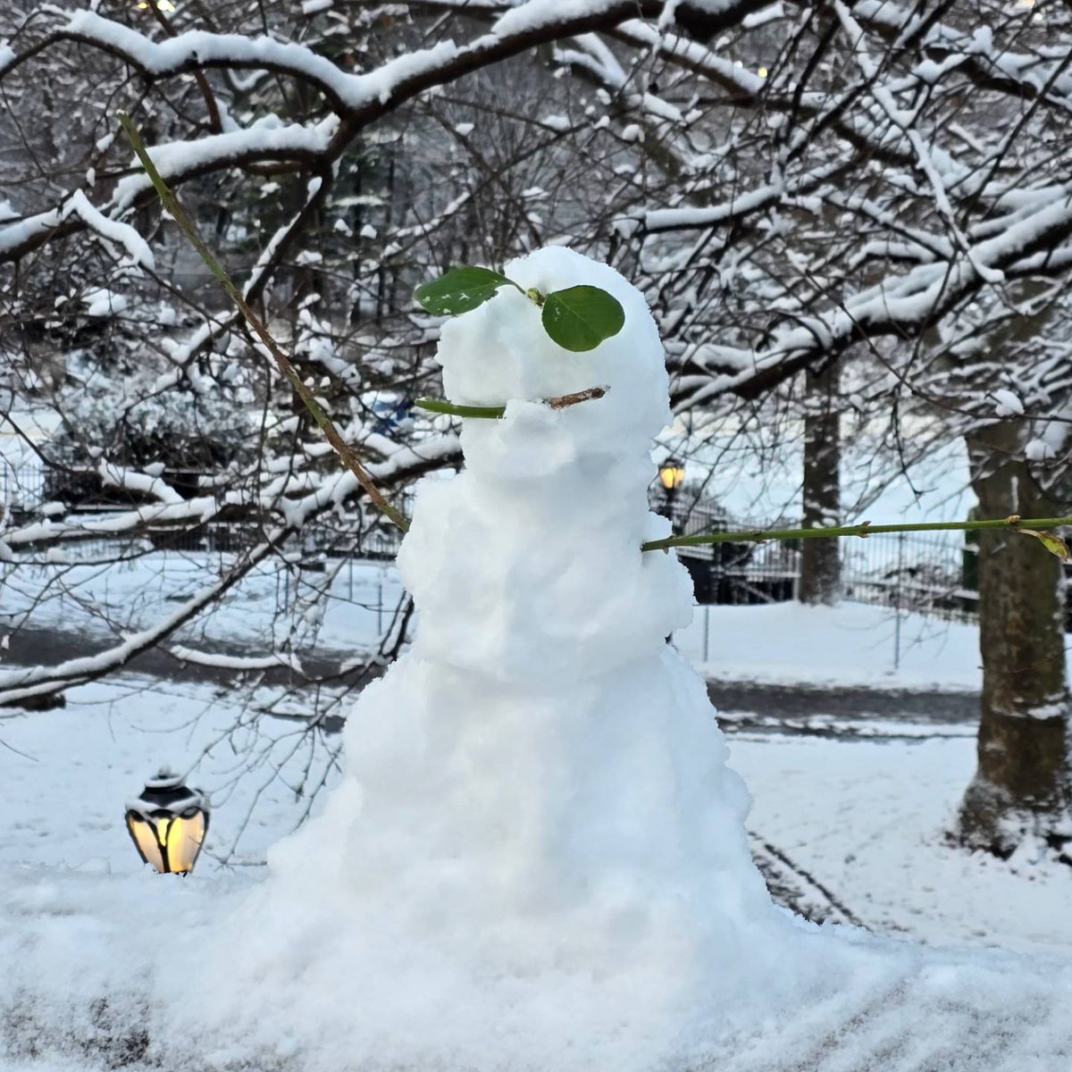 celtus's tweet image. In my happy place, feeding my furry and feathered friends. So excited to have snow. Jet lagged and hiking around the park.  #CentralPark #NewYorkNewYork #NYC #Manhattan #ChristmasInNewYork #NewYorkCity