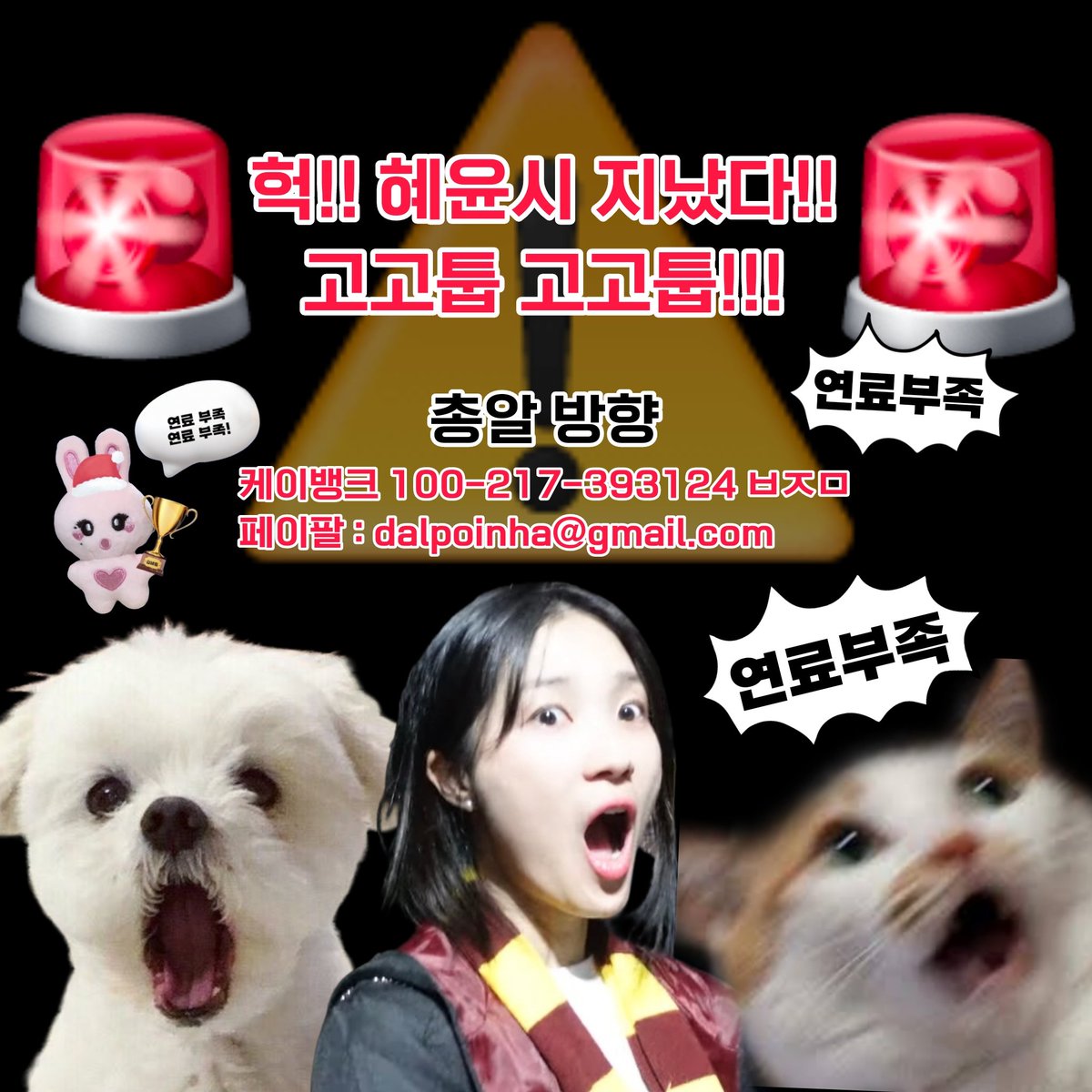 혜윤시가 지나 내일이 가까워지고 있습니다. MC혜윤 보느라 깜박하신 분들이 있다면 지금 바로 고고툽하세요!!!

#김혜윤 #APANStarAwards2024