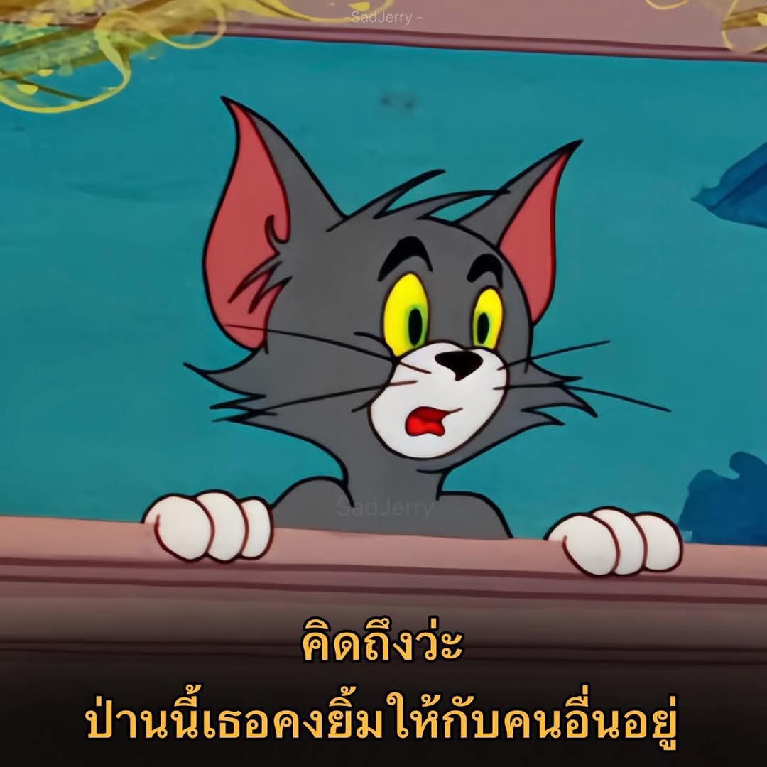 Cplus2020's tweet image. 