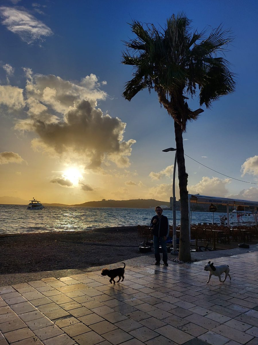 ganesha luv füğçır🦙 (@fugcir) on Twitter photo 