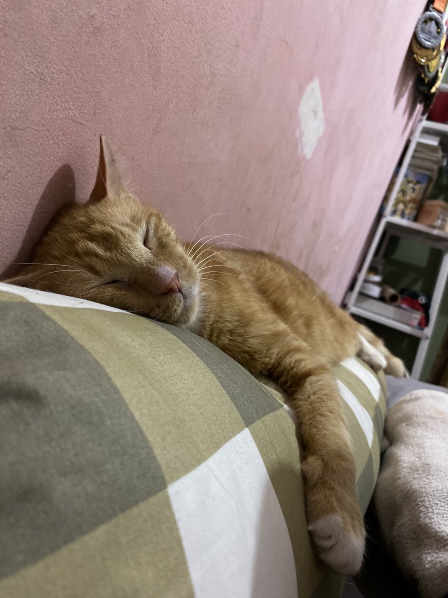 Your wkwkwk tweet media