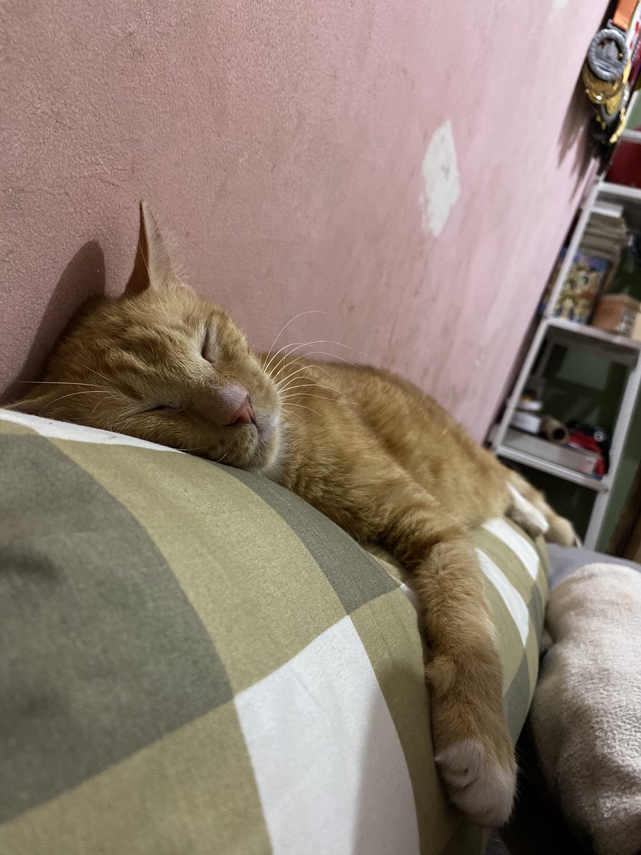 Your wkwkwk tweet media