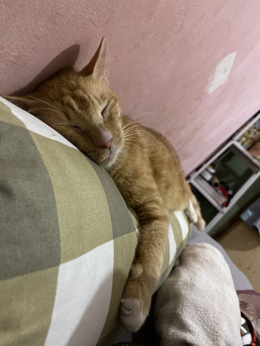 Your wkwkwk tweet media