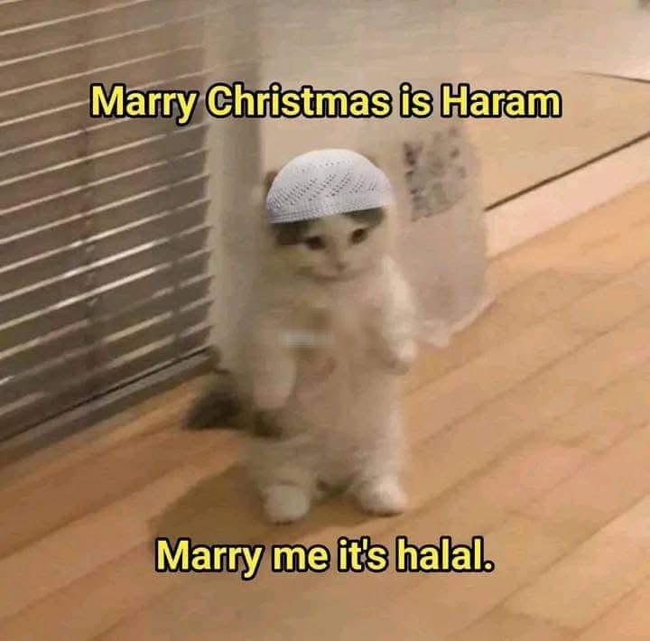 Arab Memes (@arabmemesss) on Twitter photo 