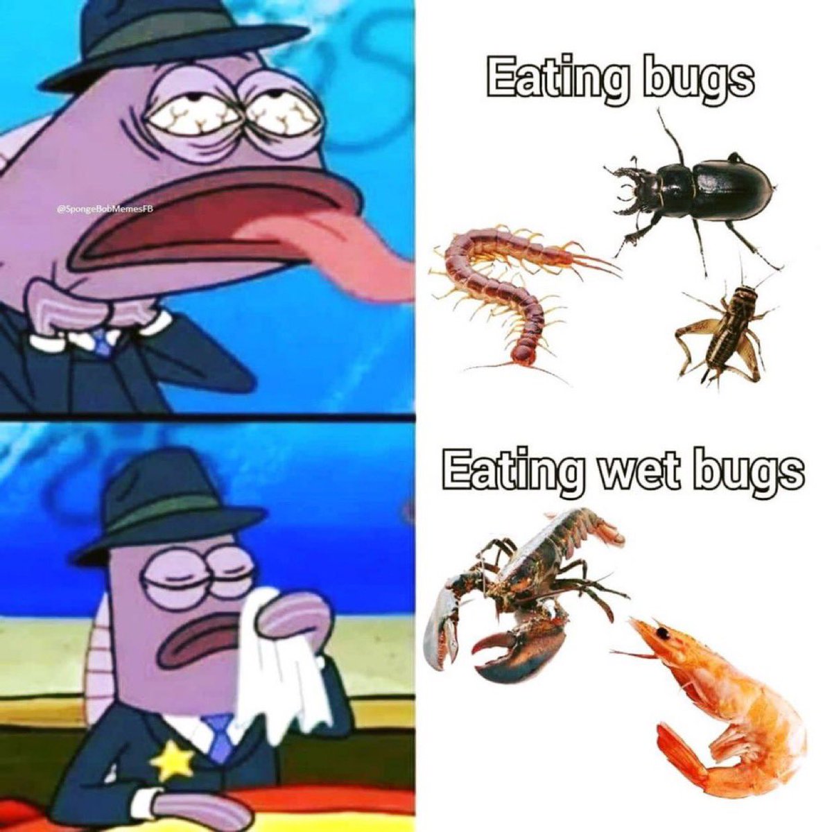 Ashley St. Clair tweet media