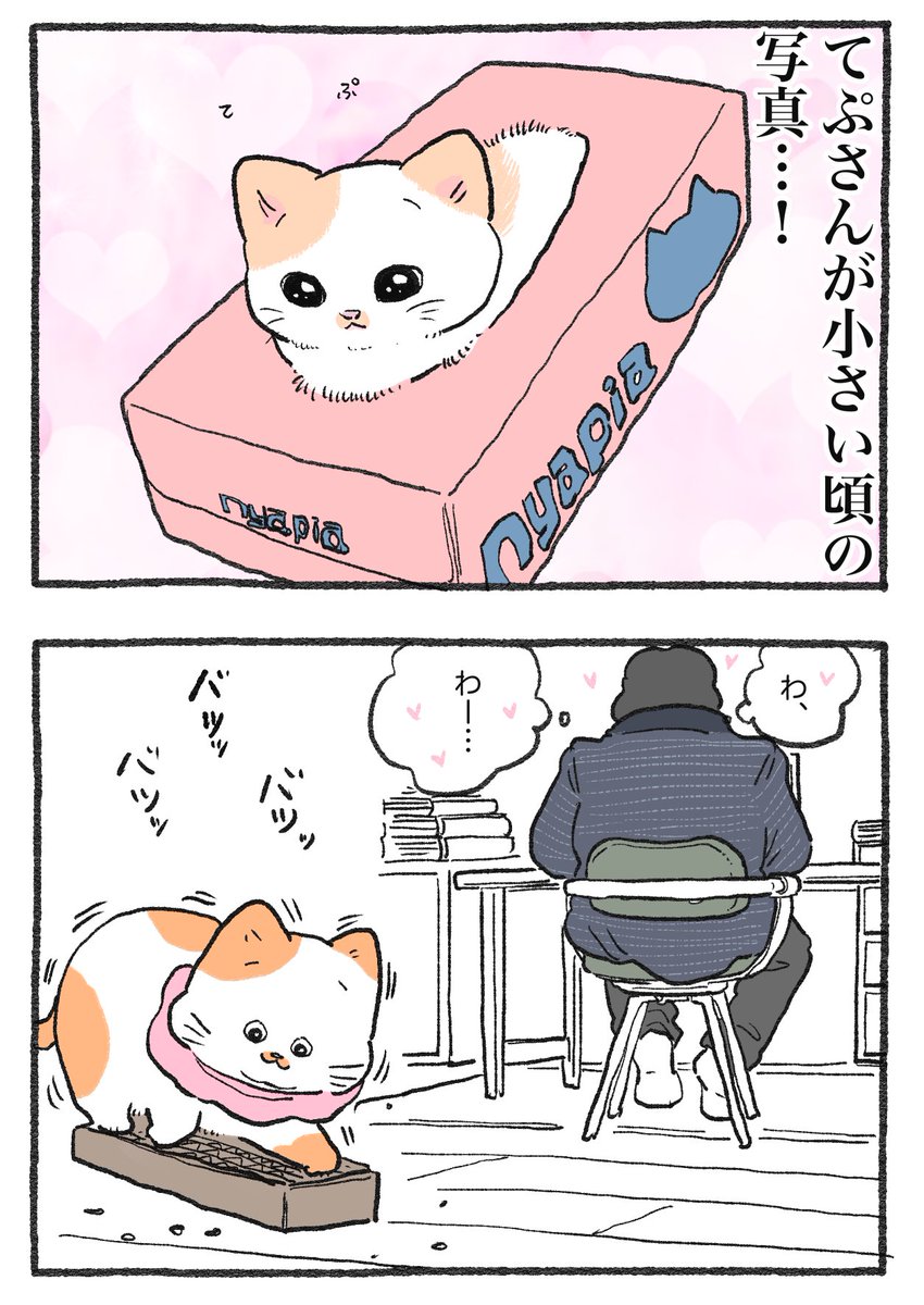 ねこに転生したおじさん。その618