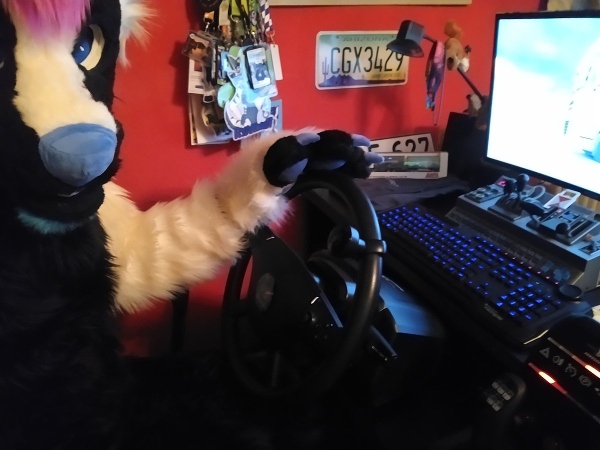 Definitely fun to drive in #EuroTruckSimulator2 and #AmericanTruckSimulator with a fursuit sized steering wheel :D

Thank you <a href="/SCSsoftware/">SCS Software</a> and <a href="/AerosoftGmbH/">Aerosoft</a>  for the great times while trucking from home.