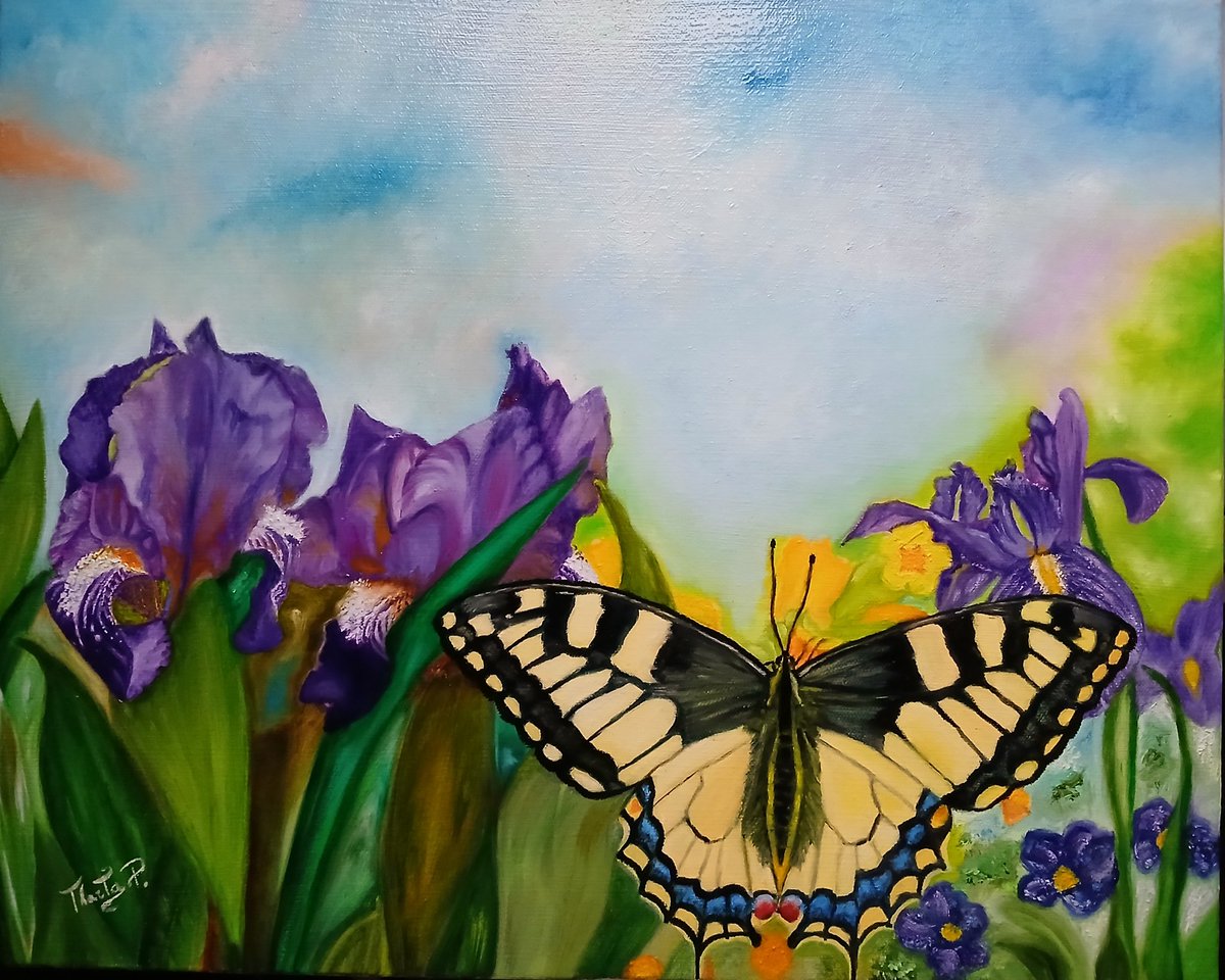 MartaPesce4's tweet photo. Marta Pesce Artist. Artwork painted with oil colour on canvas. Iris flowers and macarone butterfly. Artwork by https://t.co/svEFsmhuLy#Artist#art#artgallery#oilpeinting#artvita#artquest#colorfull#artexebitions#artmuseum#contemporaryart#natureart#modernart#finearts#artshow# https://t.co/jFVgFrL2ng