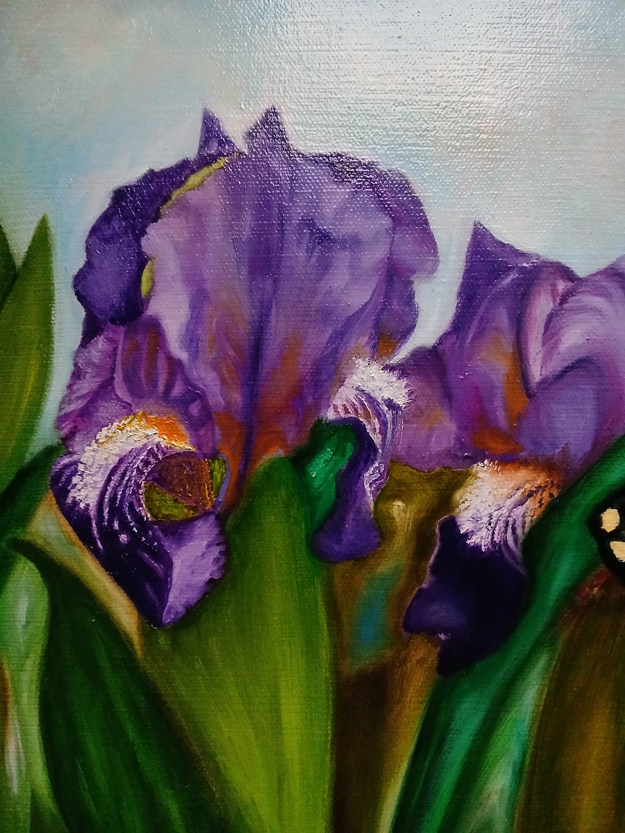 MartaPesce4's tweet photo. Marta Pesce Artist. Artwork painted with oil colour on canvas. Iris flowers and macarone butterfly. Artwork by https://t.co/svEFsmhuLy#Artist#art#artgallery#oilpeinting#artvita#artquest#colorfull#artexebitions#artmuseum#contemporaryart#natureart#modernart#finearts#artshow# https://t.co/jFVgFrL2ng