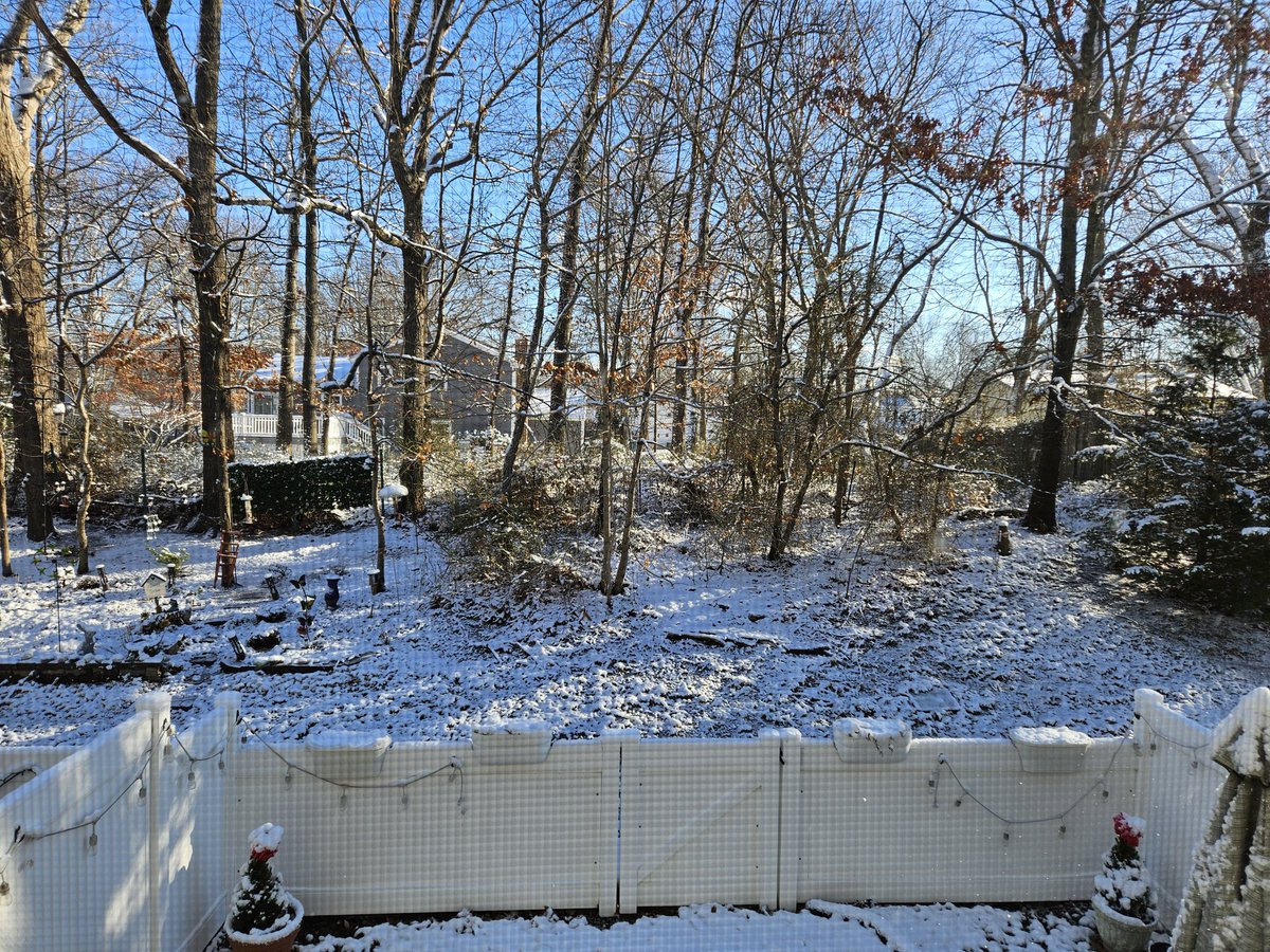 brian_bonafitz's tweet photo. 🎶I'm dreaming of a White Saturday-before-Christmas...🎶 🥶❄️🎅🎄#SaturdayFitz #MiddletownNJ #ViewFromTheKitchenWindow #December21st #TisTheSeason🎄 https://t.co/l6ffYbSwZH