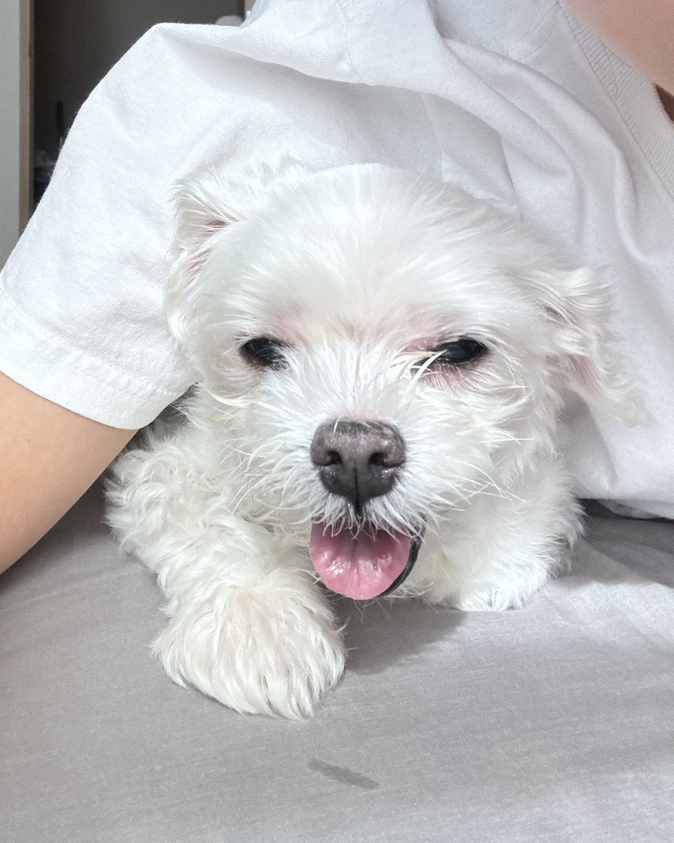 ppoyeppi's tweet photo. 😝 https://t.co/irjPKTGavl