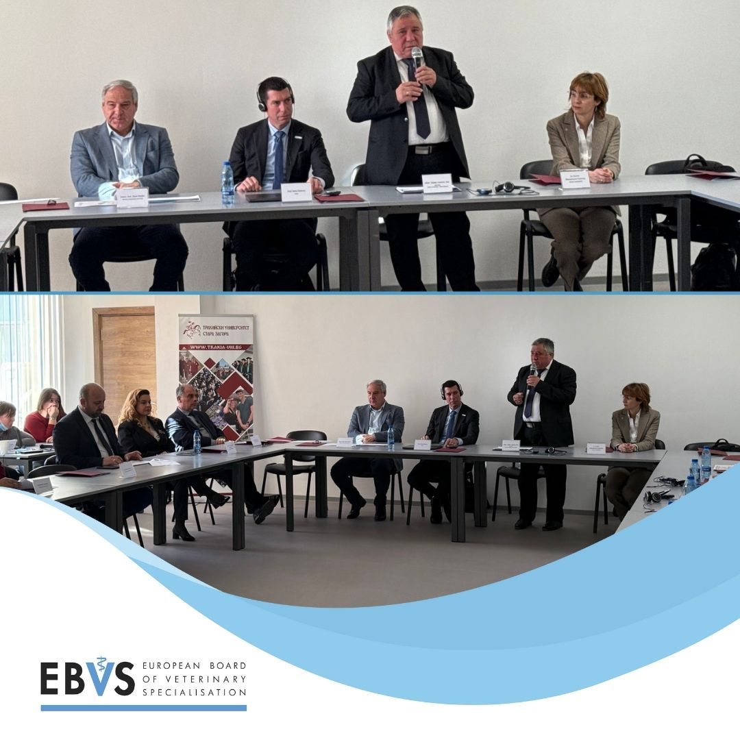 This week, EBVS President Heiko Nathues had the privilege of participating in a highly impactful roundtable at Trakia University-Stara Zagora, dedicated to advancing national veterinary specializations in Bulgaria.

#EBVS #EUvetspecialists #VeterinarySpecialization