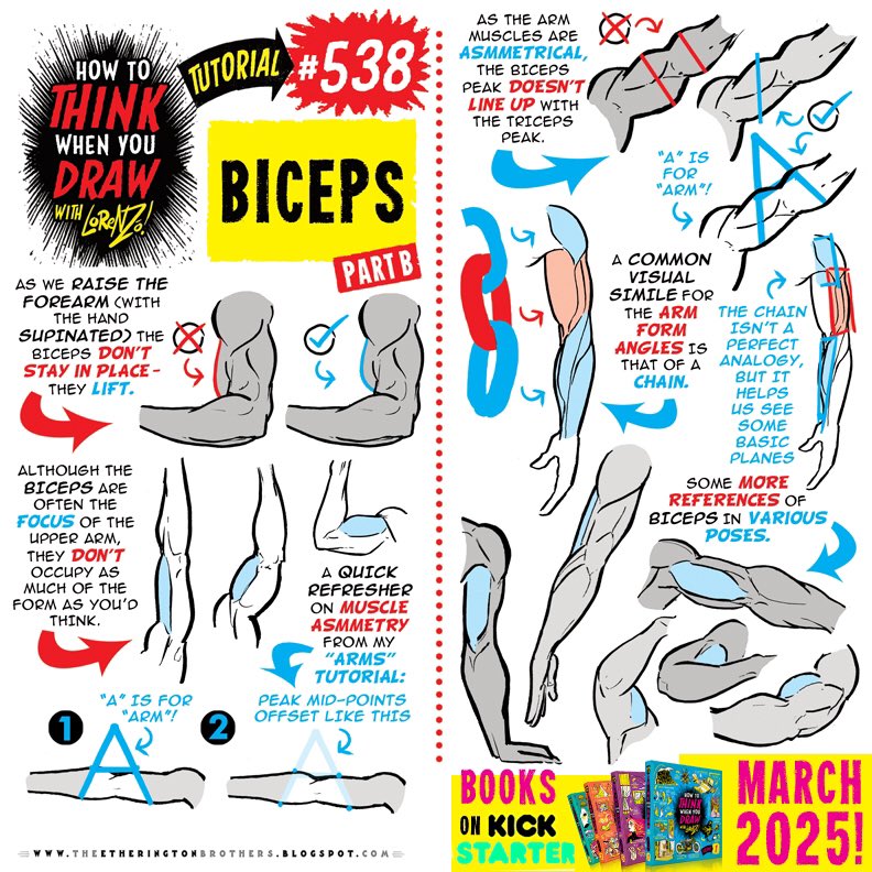 EtheringtonBros's tweet photo. BICEPS part TWO from my tutorials BOOKS, on Kickstarter in MARCH!
#anime #manga #comicart #conceptart #gamedev #animationdev #illustration https://t.co/Y6ChAUEWw2