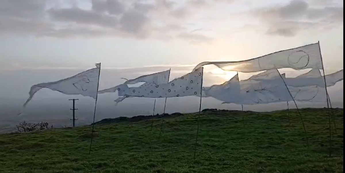 Save Knock Iveagh tweet media