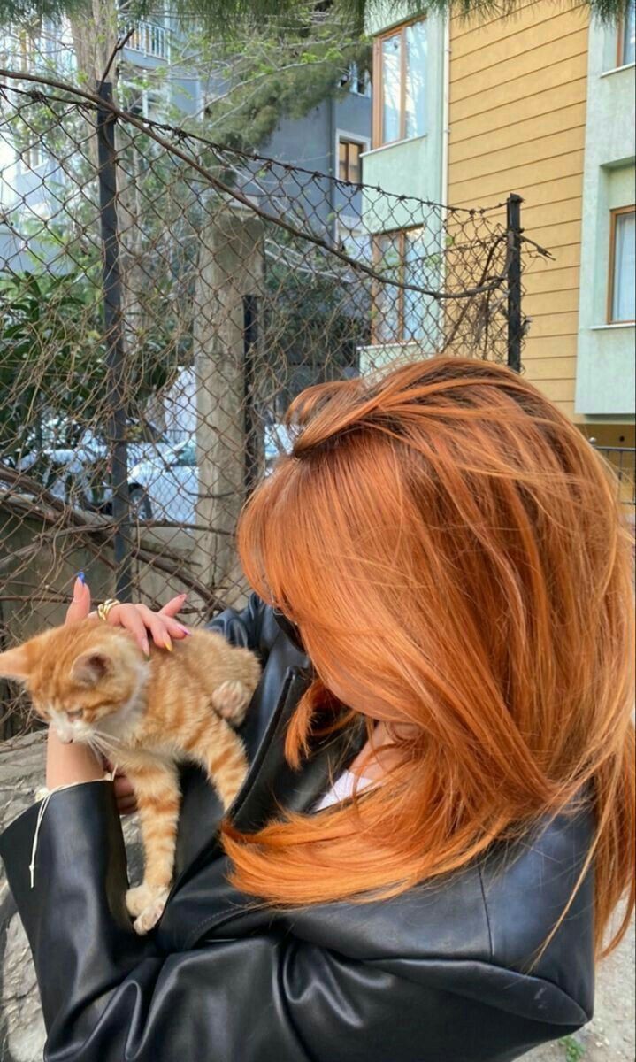 leao(na dela)☀️ tweet media