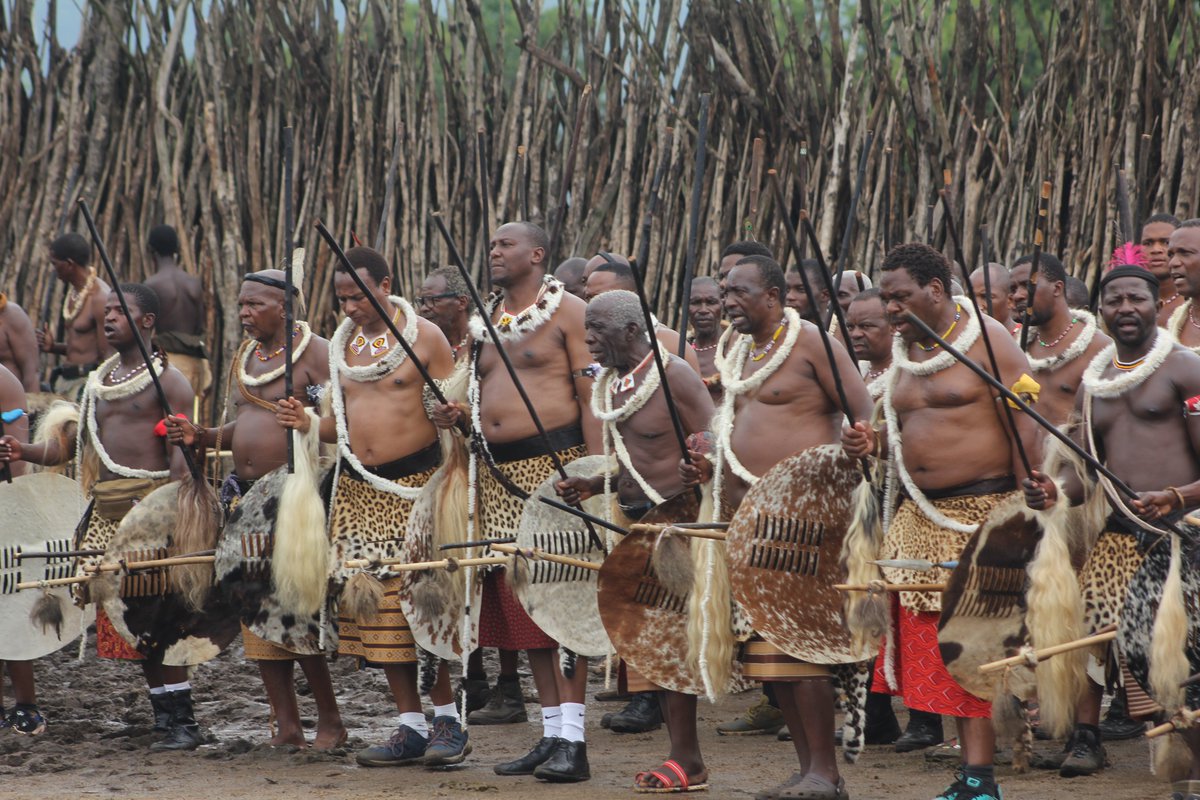 Eswatini-Home Affairs: THOUSANDS OF REGIMENTS BEGIN WEEDING AT ESIHLABENI... eswamoha.blogspot.com/2024/12/thousa…