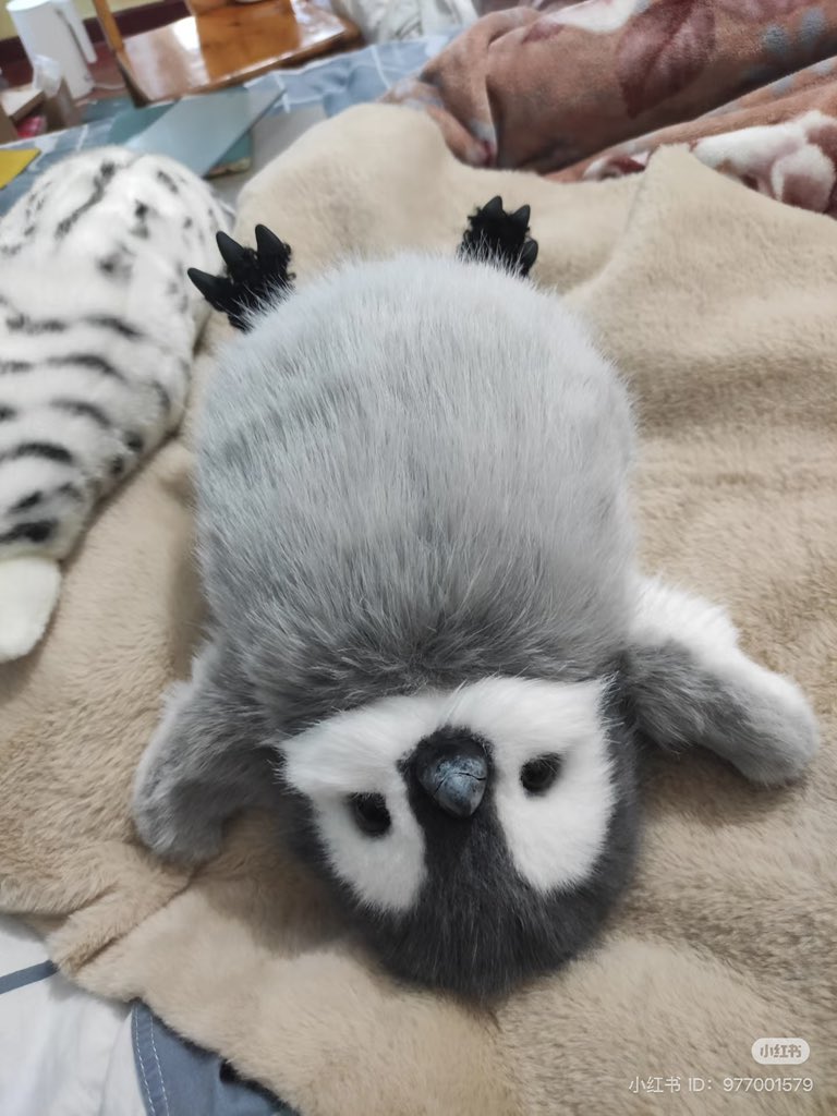 💖 (@twaniimals) on Twitter photo 