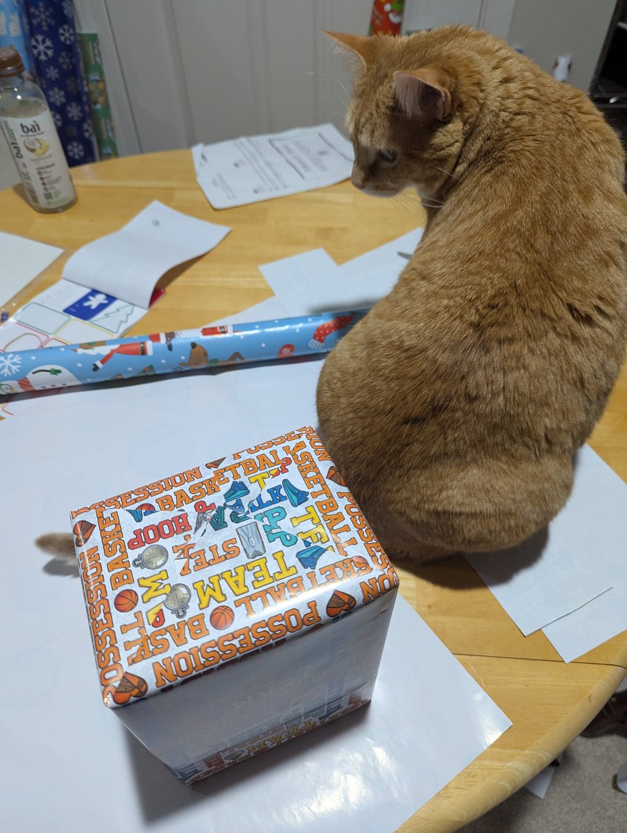 I truly do love wrapping gifts - but the help? Not so much! 😂 #thankful #lovemylife