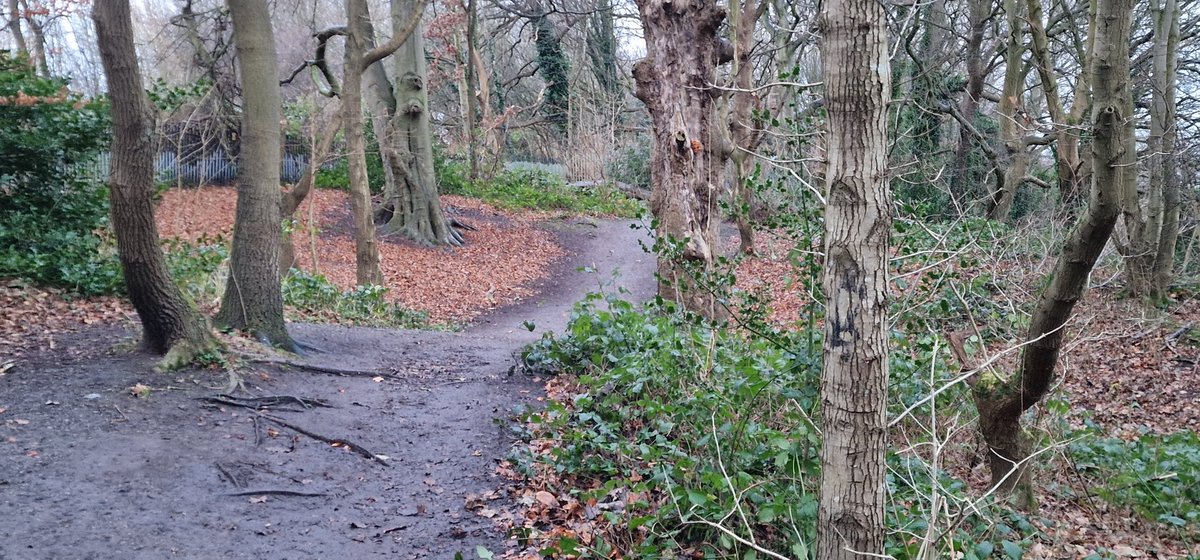 Harry Scott - Actor tweet media