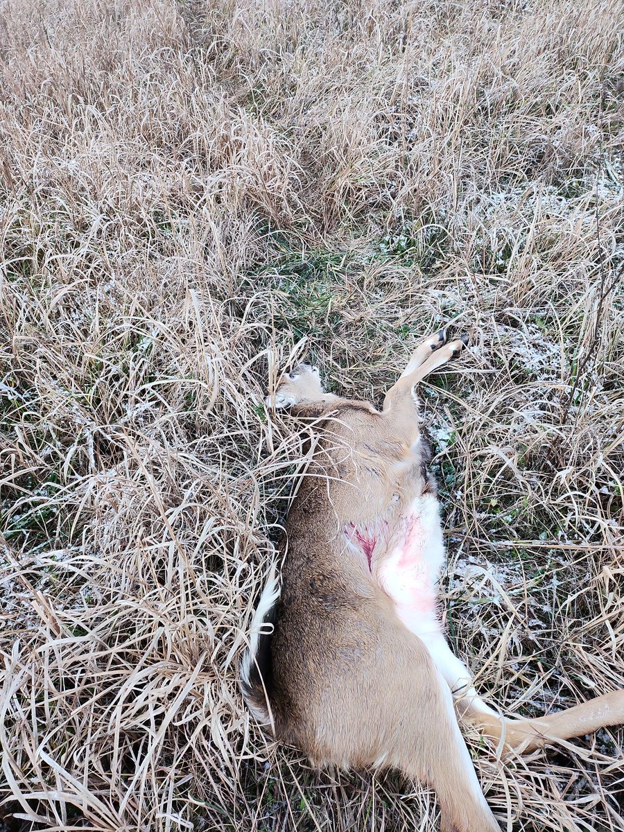 Let the Ole #400legend eat this morning