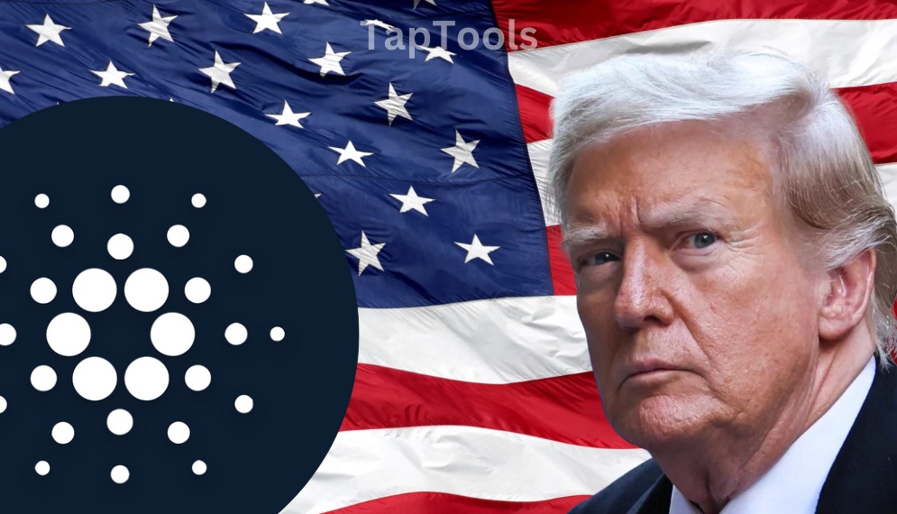 TapTools tweet media