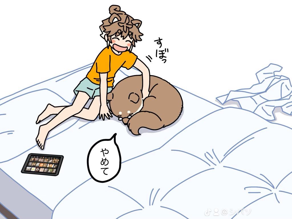 寝る前ルーティン 