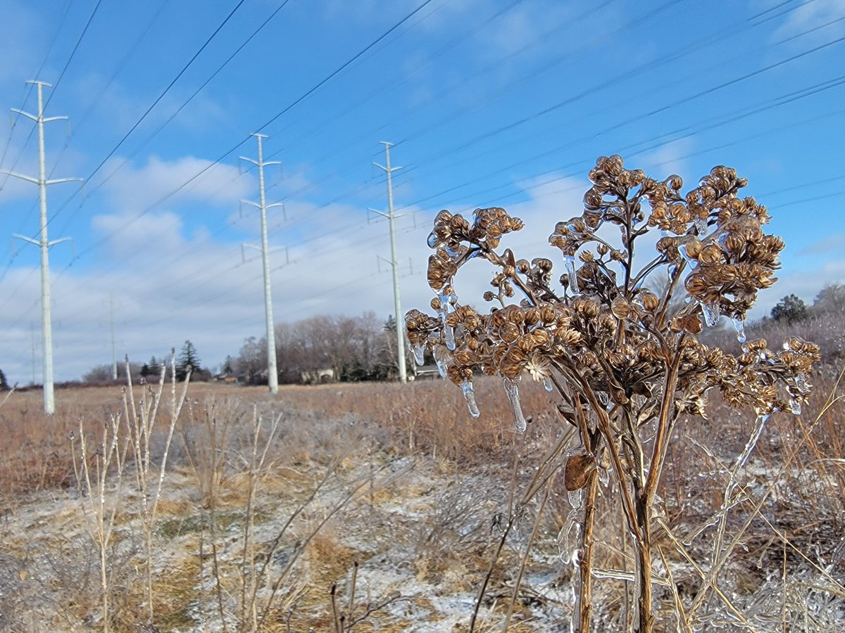 TheMeadoway tweet media