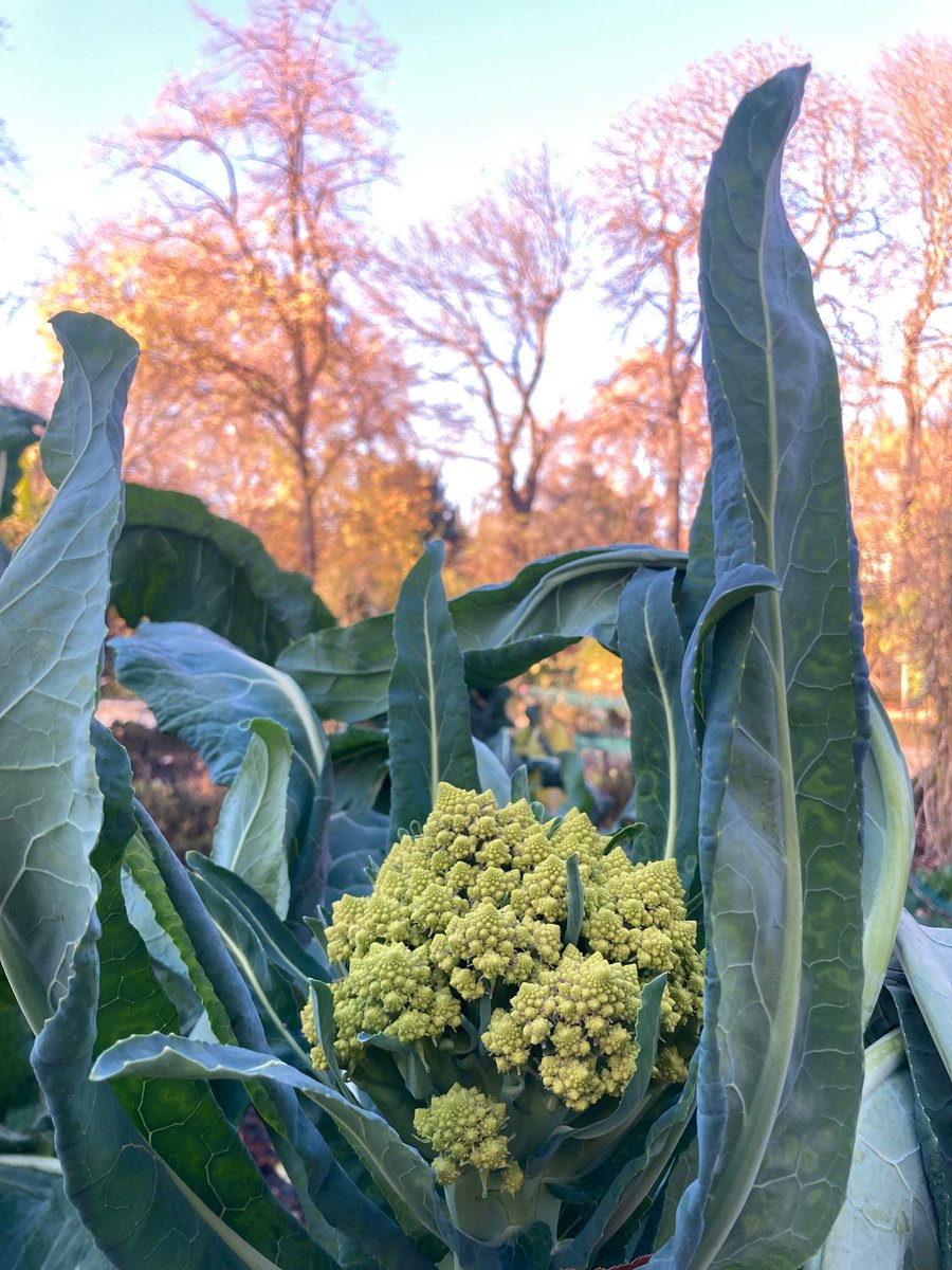 Evenings are getting longer.