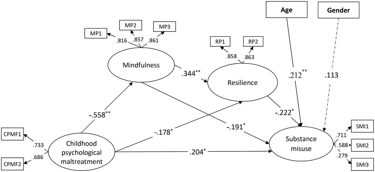 “Mindfulness and resilience as serial mediators of links between childhood psychological maltreatment and substance misuse” başlıklı çalışmamız Journal of Ethnicity in Substance Abuse (SSCI) dergisinde yayımlandı. 
Sonuçlar çocukluk dönemindeki olumsuz yaşantıların madde
