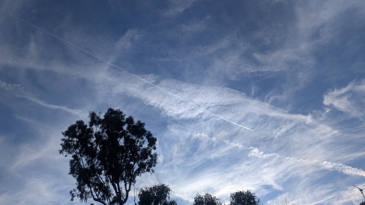 Katsiaryna tweet media